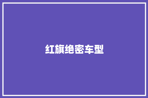 红旗绝密车型