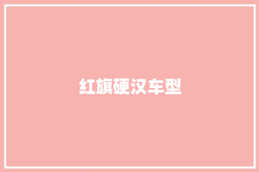 红旗硬汉车型