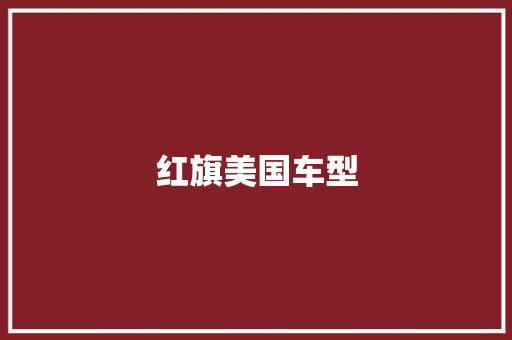 红旗美国车型