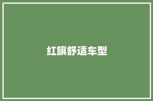 红旗舒适车型