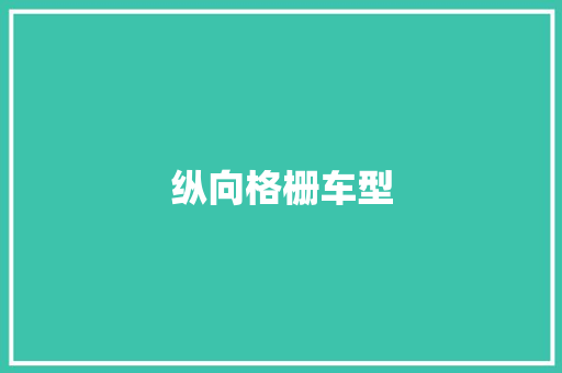 纵向格栅车型