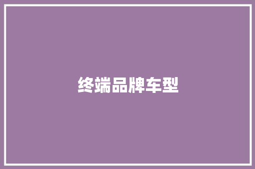 终端品牌车型