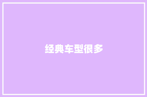 经典车型很多 车灯配件