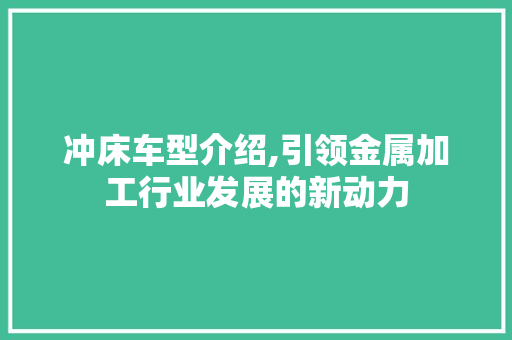冲床车型介绍,引领金属加工行业发展的新动力