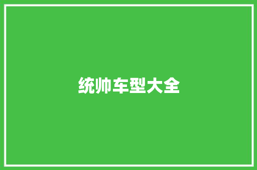 统帅车型大全