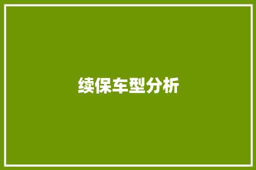 续保车型分析