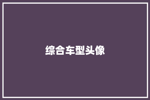 综合车型头像