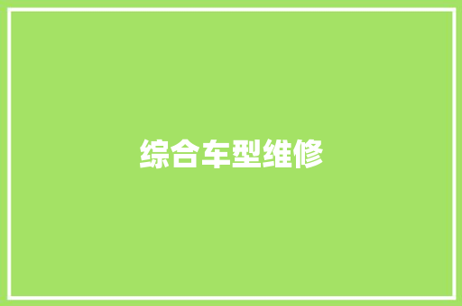 综合车型维修
