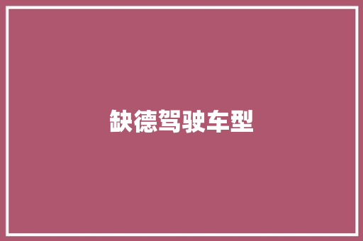 缺德驾驶车型