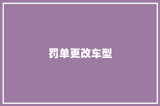 罚单更改车型