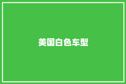 美国白色车型