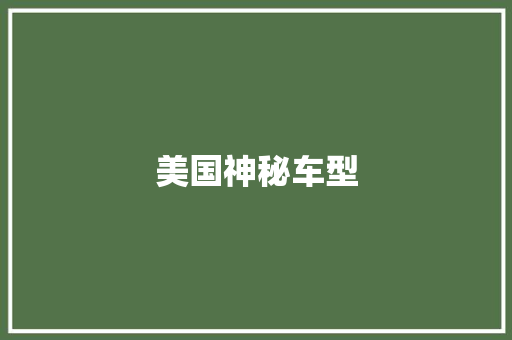 美国神秘车型 蓄电池配件