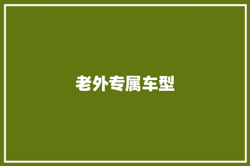 老外专属车型