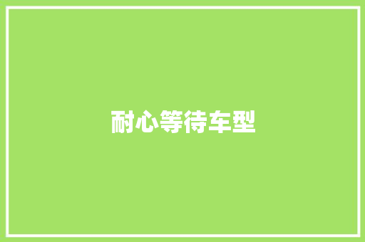 耐心等待车型