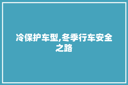 冷保护车型,冬季行车安全之路