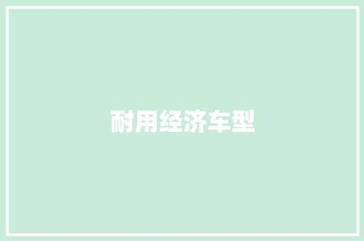 耐用经济车型