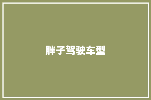 胖子驾驶车型