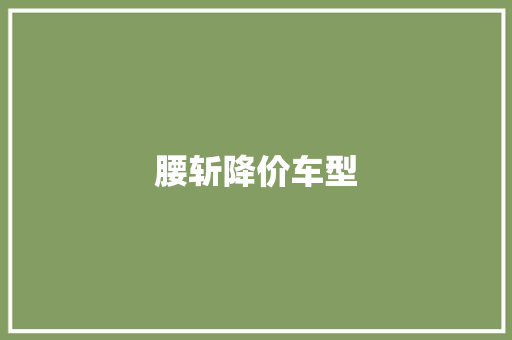 腰斩降价车型