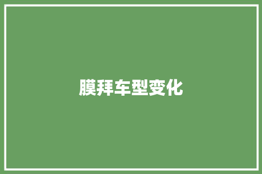 膜拜车型变化
