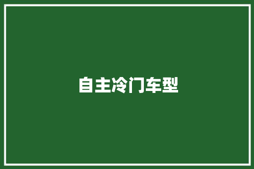 自主冷门车型