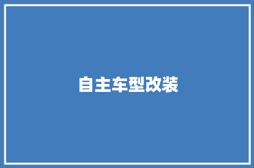 自主车型改装