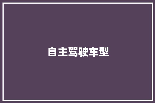 自主驾驶车型