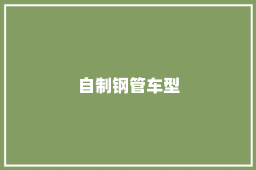 自制钢管车型