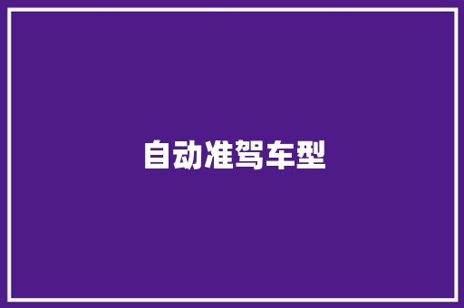 自动准驾车型