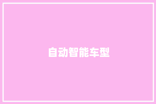 自动智能车型