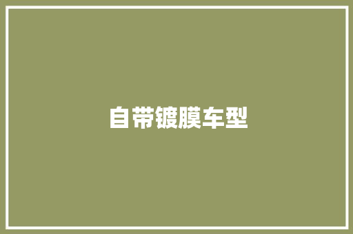 自带镀膜车型
