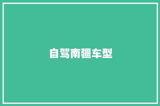 自驾南疆车型