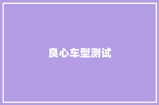 良心车型测试