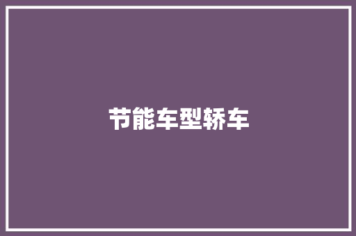 节能车型轿车