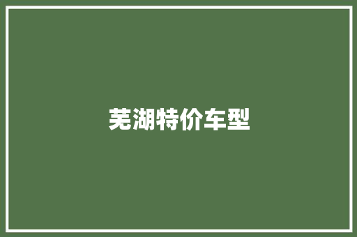 芜湖特价车型