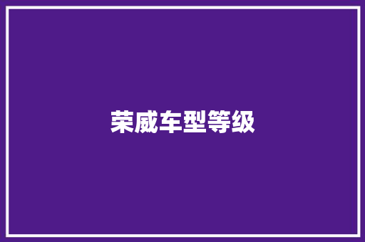 荣威车型等级