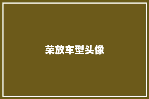 荣放车型头像