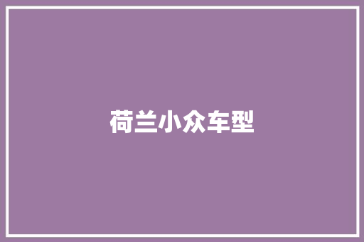 荷兰小众车型