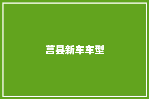 莒县新车车型