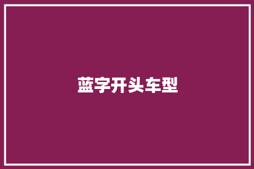 蓝字开头车型