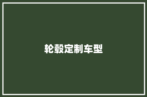 轮毂定制车型