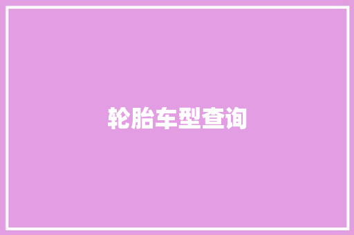 轮胎车型查询