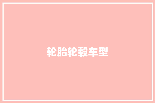 轮胎轮毂车型