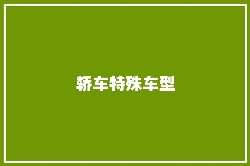 轿车特殊车型
