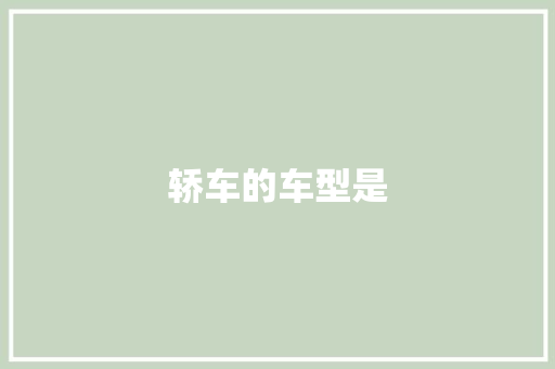 轿车的车型是