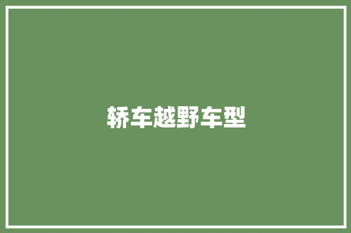 轿车越野车型