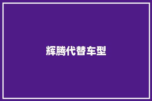 辉腾代替车型