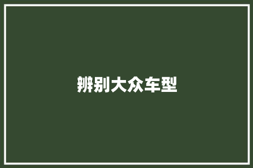 辨别大众车型