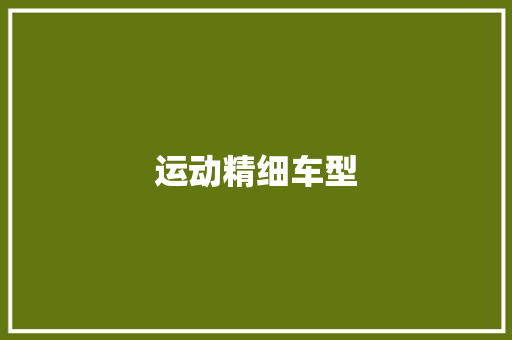 运动精细车型