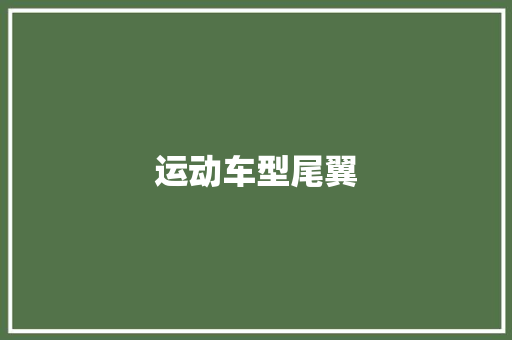 运动车型尾翼