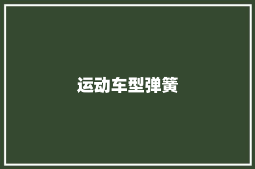 运动车型弹簧